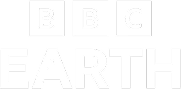 BBC Earth