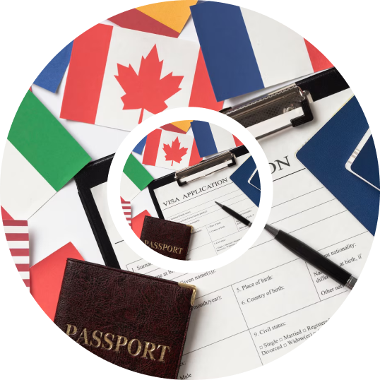 Salesforce CPQ quote-to-cash for a visa-services consultancy
